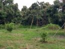 ขายที่ดิน - ที่สวนลำไย 7 ไร่ ตำบลบ้านแม อำเภอสันป่าตอง จังหวัดเชียงใหม่