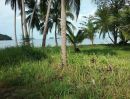ขายที่ดิน - ขายที่ดินในเกาะสมุย 301 ตรว. ติดชายหาด เหมาะสำหรับสร้างบ้านพักตากอากาศ