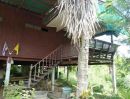 ขายบ้าน - บ้านไม้ 2 ชั้น ตำบลพิกุลทอง อำเภอท่าช้าง สิงห์บุรี 202 ตรว.