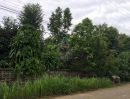 ขายที่ดิน - FOR SALE : ที่ดินเปล่า 334 ตารางวา ติดถนนเมนหลักหมู่บ้าน บ้านป่ายาง หมู่2 ต.ศรีค้ำ อ.แม่จัน จ.เชียงราย