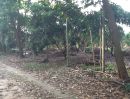 ขายที่ดิน - ที่ดินสวนทุเรียน อ.ท่าใหม่ จันทบุรี 10ไร่ แบ่งครึ่งขายได่