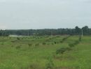 ขายที่ดิน - ขายที่ดินพร้อมสวนลำไยแถมบ้านสองหลัง ทับช้าง สอยดาว จันทบุรี