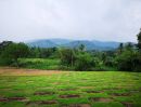 ขายที่ดิน - ขายที่ดินชลบุรี ติดลำห้วยธรรมชาติ ใกล้น้ำตกชันตาเถร -- Land for sell in Bangpra Sriracha with natural stream.