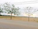 ขายที่ดิน - ขายที่ดิน 9 แปลง (แปลงละ 1 ไร่) ถนนสายปากท่อ-วัดเพลง ราชบุรี
