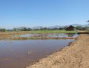 ขายที่ดิน - ที่นาวิวภูเขาล้อม ดอยสะเก็ด เชียงใหม่