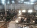 ขายโรงงาน / โกดัง - ขายโรงงานพร้อมที่พักรวมออฟฟิศ เนื้อที่ 500 ตรว.ย่านสุขสวัสดิ์ 14 ใกล้ทางด่วนเดินทางสะดวก