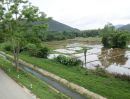 ขายที่ดิน - ที่วิวภูเขา ใกล้รีสอร์ทวังธาร ดอยสะเก็ด เชียงใหม่