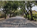 ขายที่ดิน - ที่ดินหมู่บ้านนวธานี ด้านหน้าติดถนนเมน ด้านหลังติดสนามกอล์ฟ