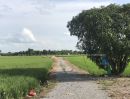 ขายที่ดิน - ขายด่วนที่ดิน 44ไร่ ติิดถนนสายสุพรรณบุรี-ชัยนาท (ทล340)