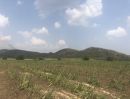 ขายที่ดิน - ขายที่ดินเปล่า ตำบลป่าหวาย อำเภอสวนผึ้ง ราชบุรี พื้นที่ 227 ไร่ 3 งาน 64 ตรว.