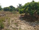 ขายที่ดิน - ที่ดิน 384 ตรว. ต.หารแก้ว อ.หางดง เชียงใหม่ ทำเลดี มีต้นลำไย สามารถทำเกษตร หรือ ปลูกสร้างบ้านได้