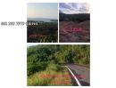 ขายที่ดิน - ขายที่ดินวิวทะเล อ่าวมะขาม-บ่อแร่, แหลมพันวา, ภูเก็ต Sell Land (Sea View), Ao Makham, Cape Panwa, Phuket 063 393 7979 คุณพล