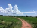 ขายที่ดิน - ที่ดินขายยกแปลงใกล้เมือง 25ไร่ คูบัว เมืองราชบุรี ราชบุรี