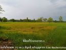 ขายที่ดิน - ขายที่ดินกาฬสินธุ์ บ.เหล็ก ที่ดินเพื่อสร้างบ้านสวนทำเกษตร น้ำถึง ไฟถึง ห่างจากถนนใหญ่เส้นบ้านเหล็กเพียง200เมตร5ไร่3งาน27ตร.ว ขายเพียง2ล้าน ถูกและดีต้อ