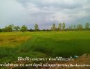 ขายที่ดิน - ขายที่ดินกาฬสินธุ์ บ.เหล็ก ที่ดินเพื่อสร้างบ้านสวนทำเกษตร น้ำถึง ไฟถึง ห่างจากถนนใหญ่เส้นบ้านเหล็กเพียง200เมตร5ไร่3งาน27ตร.ว ขายเพียง2ล้าน ถูกและดีต้อ