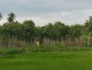 ขายที่ดิน - ขายที่ดิน พร้อมสวนมะม่วง เอกสารสิทธิโฉนด แบ่งขาย ในเมืองสุพรรณ เนื้อที่ดิน 5 ไร่