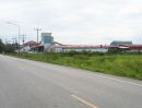 ขายโรงงาน / โกดัง - ขายโรงงานโกดัง เนื้อที่ 3 ไร่ อยู่อำเภอบางซ้าย จังหวัดพระนครศรีอยุธยา