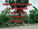 ขายที่ดิน - ขาย ที่ดินอยู่ในซอยท่าอิฐ ติดกับ หมู่บ้านดีไลฟ์และวัดท่าอิฐ จ.นนทบุรี（Rich 0204）