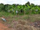 ขายที่ดิน - ขายที่ดินสวนผสม มีไร่ ลำไย ต้นมะนาว ต้นกล้วยหอม เนื้อที่27ไร่ ไร่ละ190,000 (ราคานี้พร้อมโอน)