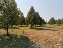 ขายที่ดิน - เสนอขายที่ดินสวนทุเรียน แปลงสวยๆๆ พร้อมโฉนด 72 ไร่ 2 งาน ท่าใหม่ จันทบุรี