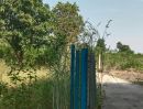 ขายบ้าน - ขายบ้านสวน 2 หลังติดกัน พร้อมสวนมะนาวประมาณ 30 ต้น ที่ดินเป็น (ภบท.5) ใกล้อ่างเก็บน้ำห้วยยาง บ้านบุตาล ต.ไชยมงคลล