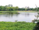 ขายที่ดิน - เสนอขายสวนมังคุด เนื้อที่ 11 ไร่กว่าๆ แปลงสวยมาก ที่อยู่ติดแม่น้ำจันท์ตลอดแนวที่ พิกัดมะขาม จันทบุรี