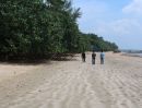 ขายที่ดิน - ที่ดินบนเกาะปู ติดหาดส่วนตัว กระบี่ 10 ไร่ๆ ละ 3.5 ล้านเท่านั้น