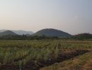 ขายที่ดิน - ขายที่ดิน ติดถนน ใกล้สวนผึ้ง ราชบุรี 380 ไร่ พร้อมสิ่งปลูกสร้าง ถูกมาก