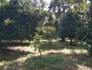 ขายที่ดิน - เสนอขายสวนผสมแปลงสวย ทำเลดี มีทุเรียน มังคุด ลองกอง เนื้อที่เกือบ 50 ไร่ พิกัดเขาคิชฌกูฎ จันทบุรี
