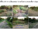 ขายที่ดิน - ขายที่ดินโฉนดครุทแดง 275 ตร.ว. ถมแล้ว