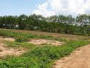 ขายที่ดิน - ขายที่ดินสวยไม่ต้องถม 15 ไร่ ขายถูก 7ล้าน ห่าง R3A ที่ไปเมืองคุนหมิง 800 ม.