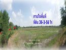 ขายที่ดิน - ขายที่ดินเปล่า จ.นครปฐม ห่างจากสนามบินนครปฐม เพียง 18 กม.