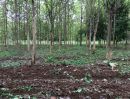 ขายที่ดิน - ขายที่สวนป่าไม้มีค่า อายุ 13 ปี มีโฉนด เนื้อที่ 13 ไร่ ตรงข้ามสนามกอฟท์ วูซุง จอมบึง ราชบุรี