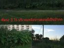 ขายที่ดิน - ขายที่ดิน 3ไร่ 156 ตร.ว.พื้นที่สีชมพู