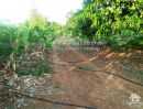 ขายที่ดิน - ขายสวนมะม่วงหนองม่วง-ขายสวนลพบุรี-ขายสวนบ่อทอง 5 ไร่ นส.3ก ต.บ่อทอง อ.หนองม่วง จ.ลพบุรี รหัส L365