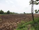 ขายที่ดิน - ขาย ที่ดิน ที่ดินไทย 9-2-35 ไร่ ราคา 1,600,000 บาท โฉนด ลำสนธิ ถนนคอนกรีต มีตาน้ำไหลตลอดปี ติดฝายน้ำล้น วิวภูเขา