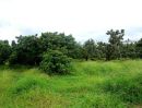 ขายที่ดิน - ขายที่ดิน ตำบลบ้านแม อำเภอสันป่าตอง 20 เมตร จากถนนเลี่ยงเมืองสันป่าตองหางดง