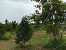 ขายที่ดิน - ขายที่สวนสวย พร้อมบ้านพัก อ.ท่ายาง เพชรบุรี : ทำเลดี พื้นที่สวย ราคาถูกสุด ขนาด 20 ไร่ 37 ตรว.