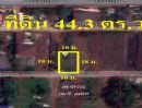 ขายที่ดิน - ขายที่ดิน 44.3 ตารางวา ซอย บงกช 3 ใกล้วัดพระธรรมกาย