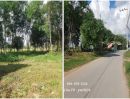 ขายที่ดิน - ขายที่ดินหนองปรือ 10 ไร่ ติดถนน 2 ด้าน ที่สวยมาก พื้นที่สีส้ม