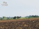 ขายที่ดิน - ขายด่วน ที่ดินเพื่อการเกษตร 99 ไร่ อ.โคกสำโรง จ.ลพบุรี