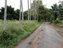 ขายที่ดิน - เสนอขายสวนผสมทุเรียน มังคุด ลำไย ติดคลองธรรมชาติ เนื้อที่ 34 ไร่ วังแซ้ม อำเภอมะขาม จันทบุรี