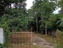 ขายบ้าน - ขาย บ้านสวนจอมปิง ลำปาง บ้านเดี่ยวไม้สักใต้ถุนสูง 2 ห้องนอน 2 ห้องน้ำ พร้อมสวนลำไย พื้นที่รวม 5 ไร่