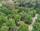 ขายที่ดิน - ที่ดินติดแม่น้ำจันทบุรี 7ไร่2งาน ผลไม้เต็มสวน ลมเย็นสบาย(วีดีโอพาชม)