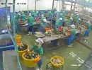 ขายโรงงาน / โกดัง - ขายโรงงานผลิตปลากระป๋อง พร้อมเครื่องจักรและอุปกรณ์