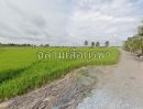 ขายที่ดิน - ขายที่ดินคลอง 14 เขตหนองจอก กทม. 100 ไร่ ติดถนน ติดคลอง ทำเลสวย