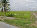 ขายที่ดิน - ขายที่ดินคลอง 14 เขตหนองจอก กทม. 100 ไร่ ติดถนน ติดคลอง ทำเลสวย