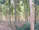 ขายที่ดิน - ขายรีสอร์ทและสวนไม้สัก 32-3-4.1 ไร่ ไทรโยค กาญจนบุรี ติดแม่น้ำแควน้อย ที่ดินพร้อมโฉนด