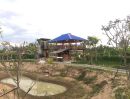 ขายที่ดิน - Land Farm with Wooden House for sale Chiang Mai