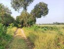 ขายที่ดิน - ขาย ที่ดิน คลองสิบสอง ธัญบุรี 2 ไร่ ห่างรังสิต-นครนายกแค่ 700 เมตร เหมาะปลูกบ้าน หรือทำสวนเกษตร